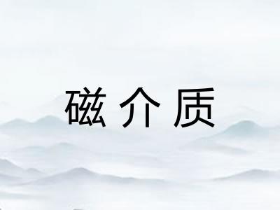 磁介质
