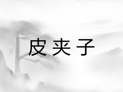 皮夹子