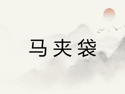 马夹袋