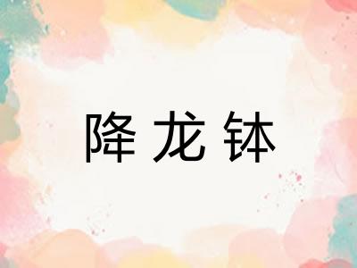 降龙钵