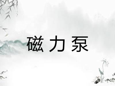 磁力泵