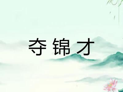 夺锦才
