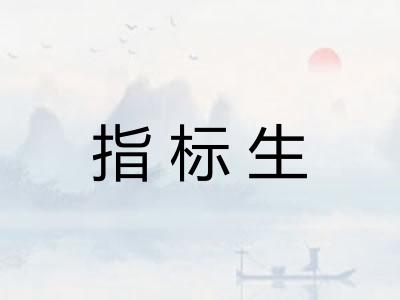 指标生