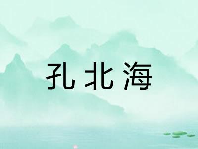 孔北海