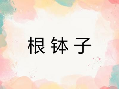 根钵子