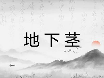 地下茎