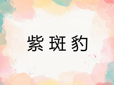 紫斑豹