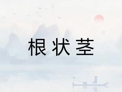 根状茎