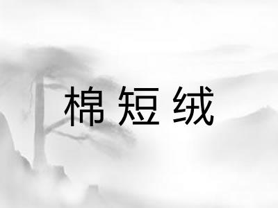 棉短绒