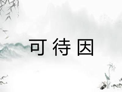 可待因