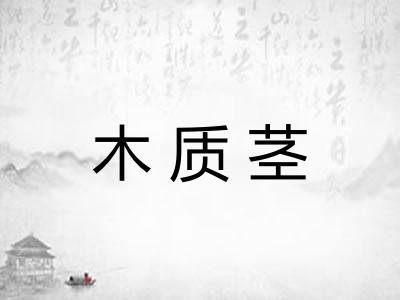 木质茎