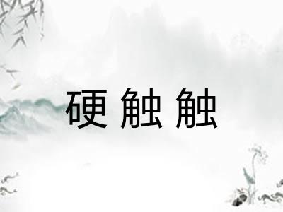 硬触触