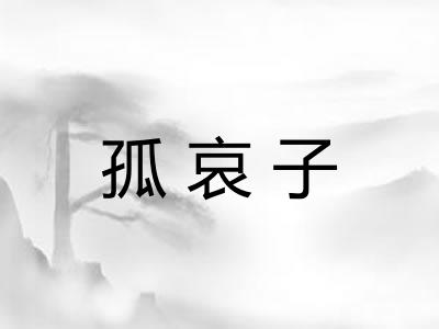 孤哀子