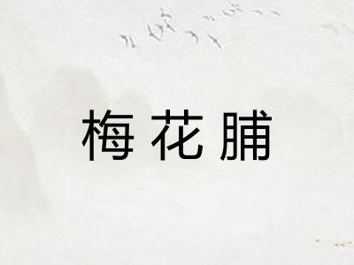 梅花脯