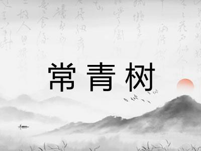常青树