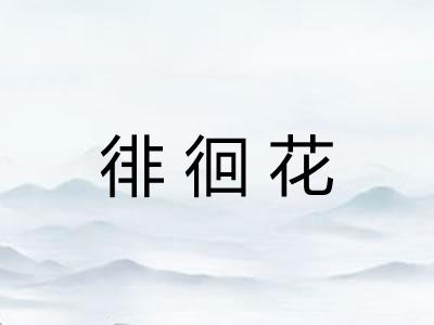 徘徊花