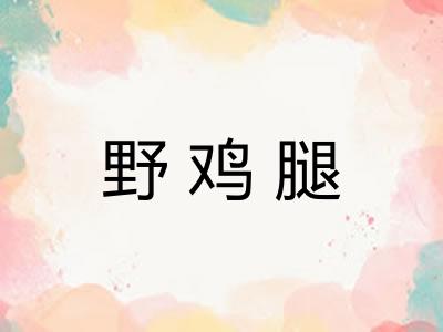 野鸡腿