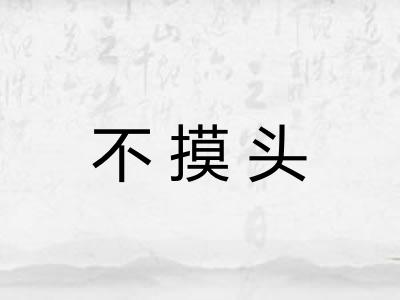 不摸头