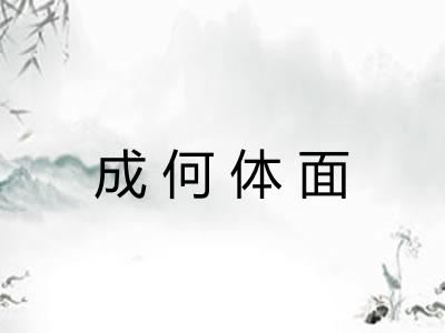 成何体面
