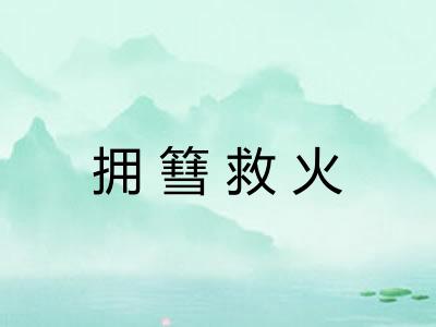 拥篲救火