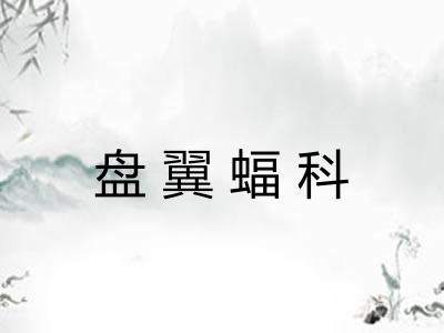 盘翼蝠科