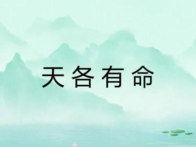 天各有命