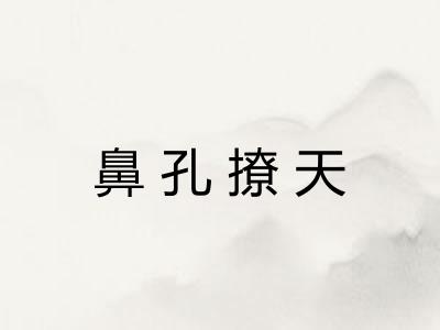 鼻孔撩天