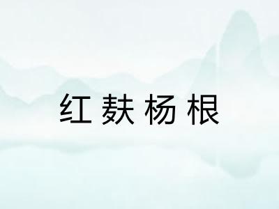 红麸杨根