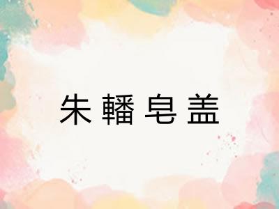 朱轓皂盖