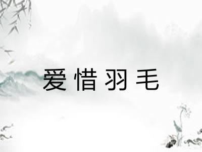 爱惜羽毛