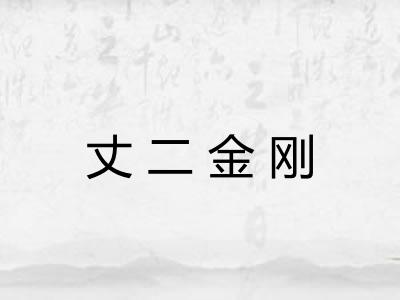 丈二金刚