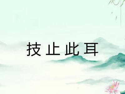 技止此耳