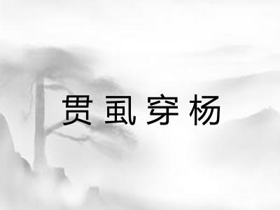 贯虱穿杨