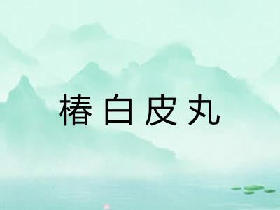 椿白皮丸