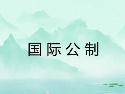 国际公制