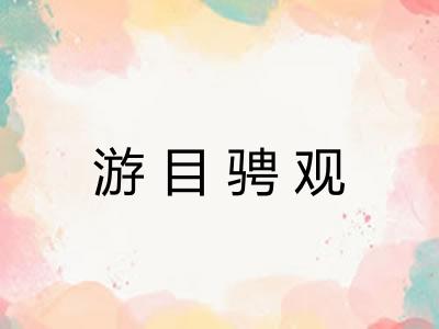 游目骋观