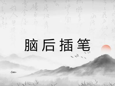 脑后插笔