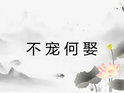 不宠何娶