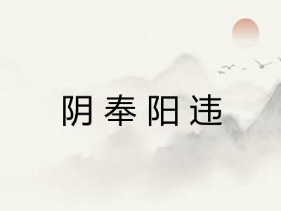 阴奉阳违