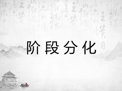 阶段分化