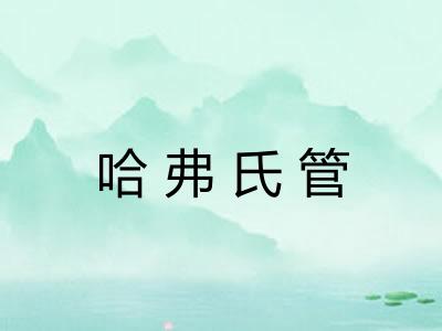 哈弗氏管