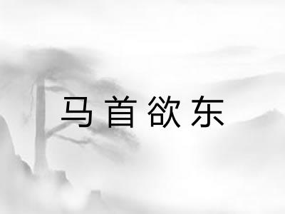 马首欲东