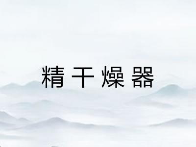 精干燥器