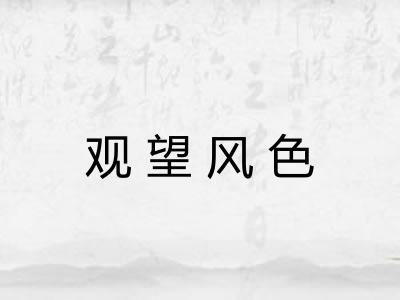 观望风色