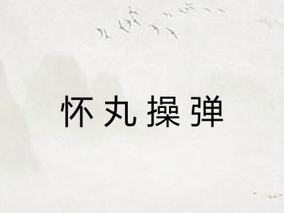 怀丸操弹