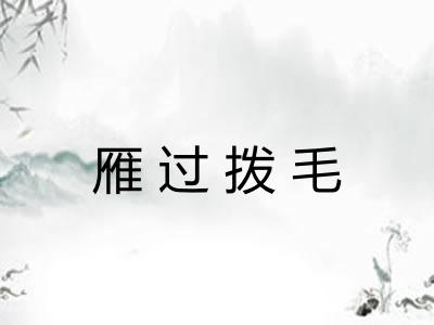 雁过拨毛