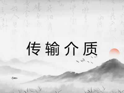 传输介质