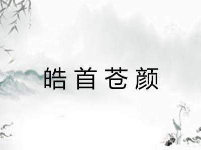 皓首苍颜