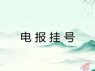 电报挂号