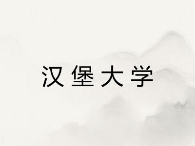 汉堡大学